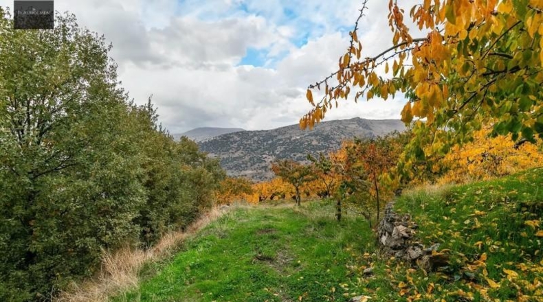 Granada - Güéjar Sierra - 44063m2