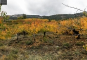 Non-developable land for sale on España, Güéjar Sierra, ref: TR236300 photo