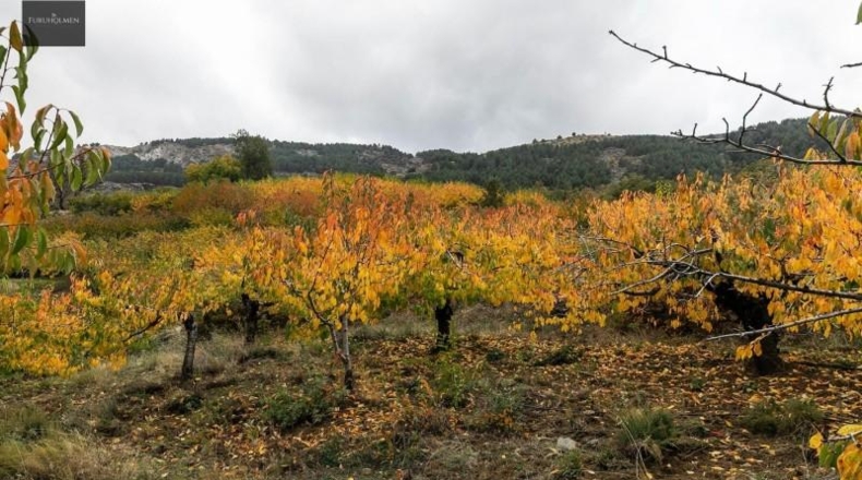 Granada - Güéjar Sierra - 44063m2