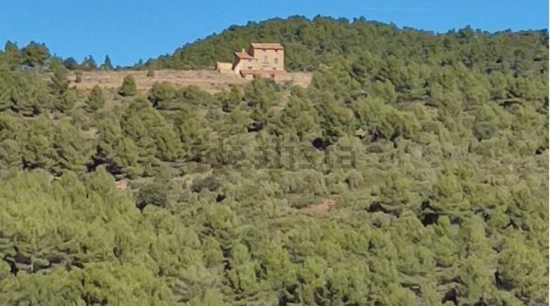 Castellón - Zucaina - 1300000m2