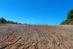 Zucaina 1300000&nbsp;m²