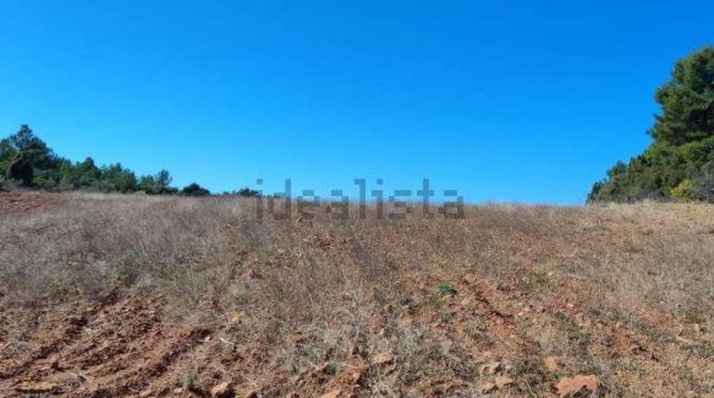 Castellón - Zucaina - 1300000m2