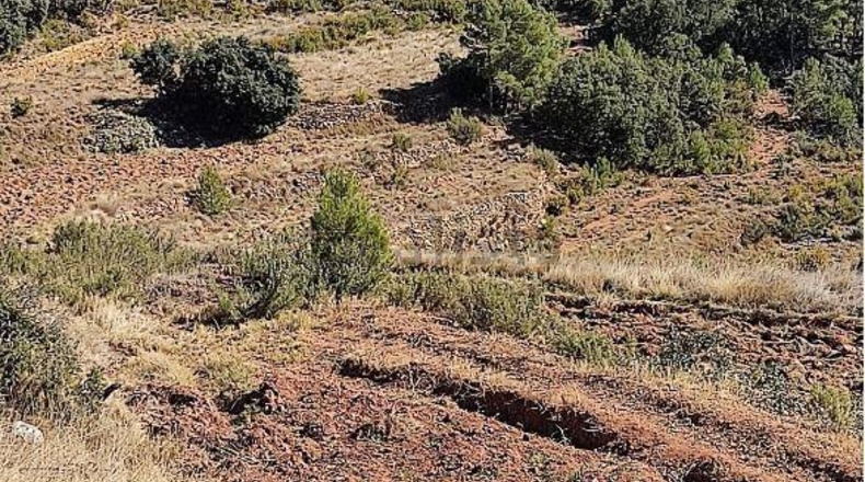 Castellón - Zucaina - 1300000m2