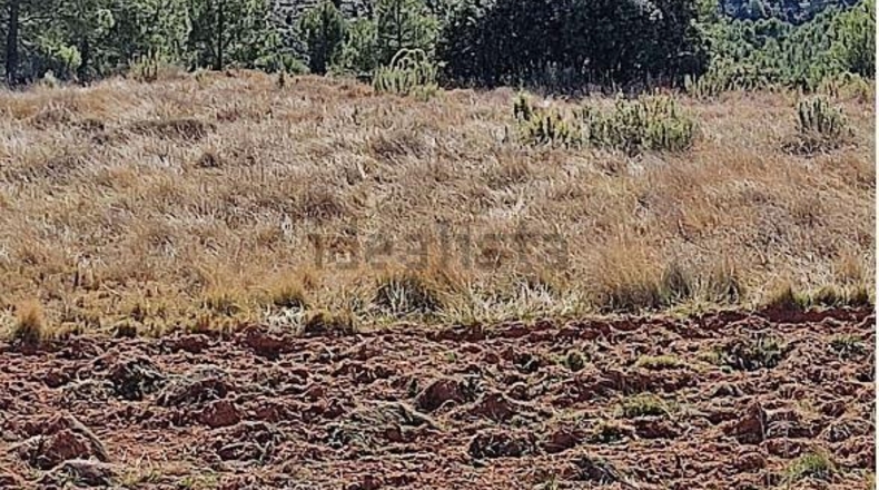 Castellón - Zucaina - 1300000m2