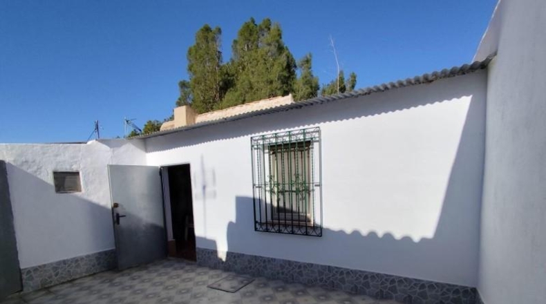 Murcia - Fuente Álamo de Murcia - 318m2