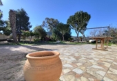 Casa de camp amb terreny en venda a la España, Fuente Álamo, ref.: TR220437 foto