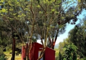 Casa de camp amb terreny en venda a la España, Fuente Álamo, ref.: TR220437 foto