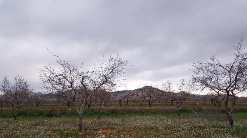 Murcia - Fuente Álamo de Murcia - 318m2