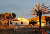 Casa de camp amb terreny en venda a la España, Fuente Álamo, ref.: TR220437 foto