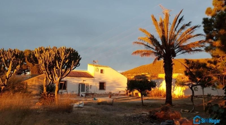 Murcia - Fuente Álamo de Murcia - 318m2