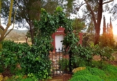 Casa de camp amb terreny en venda a la España, Fuente Álamo, ref.: TR220437 foto