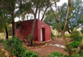Casa de camp amb terreny en venda a la España, Fuente Álamo, ref.: TR220437 foto