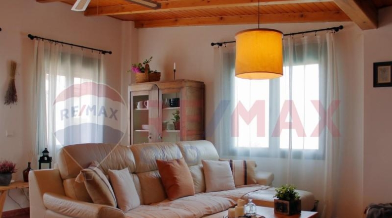 Valladolid - Mojados - 480m2