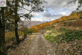 Güéjar Sierra 44063&nbsp;м²