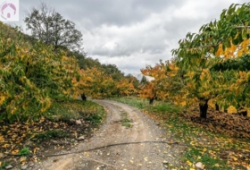 Güéjar Sierra 44063&nbsp;м²