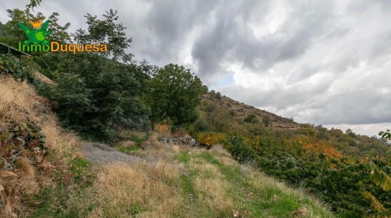 Granada - Güéjar Sierra - 44063m2