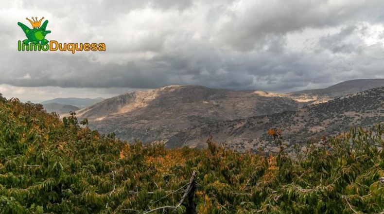 Granada - Güéjar Sierra - 44063m2