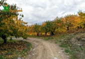Detached villa with land for sale on España, Güéjar Sierra, ref: TR229894 photo