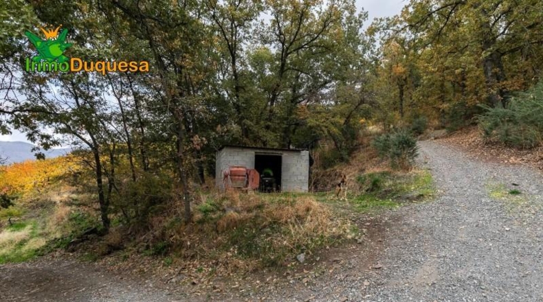Granada - Güéjar Sierra - 44063m2