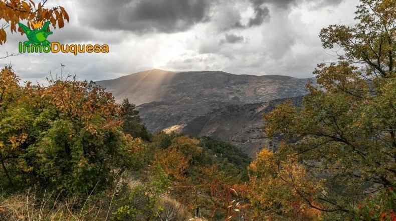 Granada - Güéjar Sierra - 44063m2