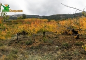 Detached villa with land for sale on España, Güéjar Sierra, ref: TR229894 photo