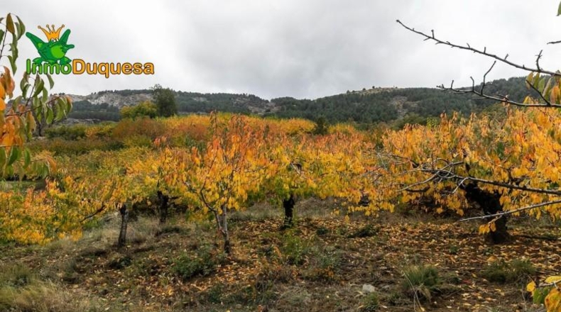 Granada - Güéjar Sierra - 44063m2