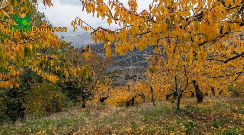 Granada - Güéjar Sierra - 44063m2