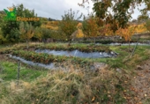 Detached villa with land for sale on España, Güéjar Sierra, ref: TR229894 photo