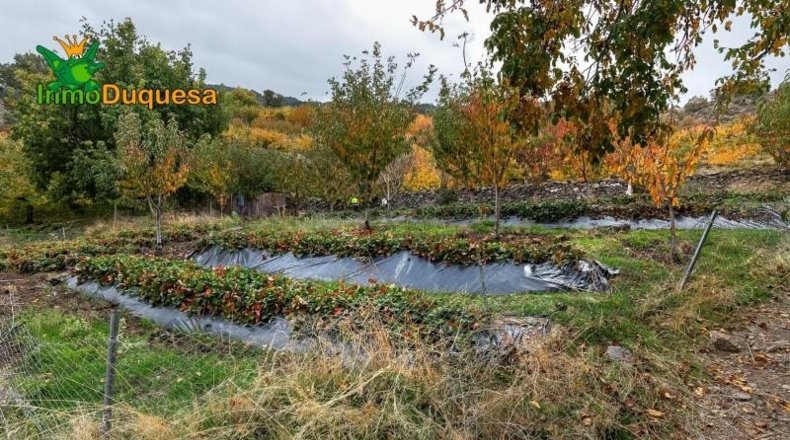 Granada - Güéjar Sierra - 44063m2