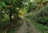 Detached villa with land for sale on España, Güéjar Sierra, ref: TR229894 photo