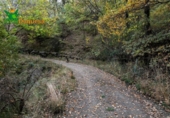 Detached villa with land for sale on España, Güéjar Sierra, ref: TR229894 photo