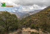 Detached villa with land for sale on España, Güéjar Sierra, ref: TR229894 photo