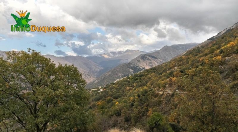Granada - Güéjar Sierra - 44063m2