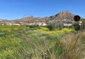 Casa con terreno en venta en la España, Murcia, ref: TR286721 foto