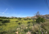 Casa con terreno en venta en la España, Murcia, ref: TR286721 foto