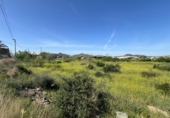 Casa con terreno en venta en la España, Murcia, ref: TR286721 foto