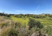 Casa con terreno en venta en la España, Murcia, ref: TR286721 foto