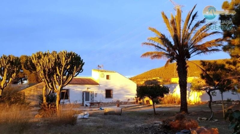 Murcia - Fuente Álamo de Murcia - 9020m2