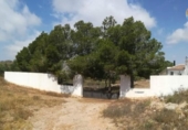 Casa de camp amb terreny en venda a la España, Fuente Álamo, ref.: TR241300 foto