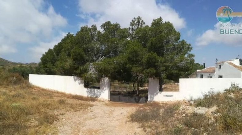 Murcia - Fuente Álamo de Murcia - 9020m2