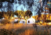 Casa de camp amb terreny en venda a la España, Fuente Álamo, ref.: TR241300 foto