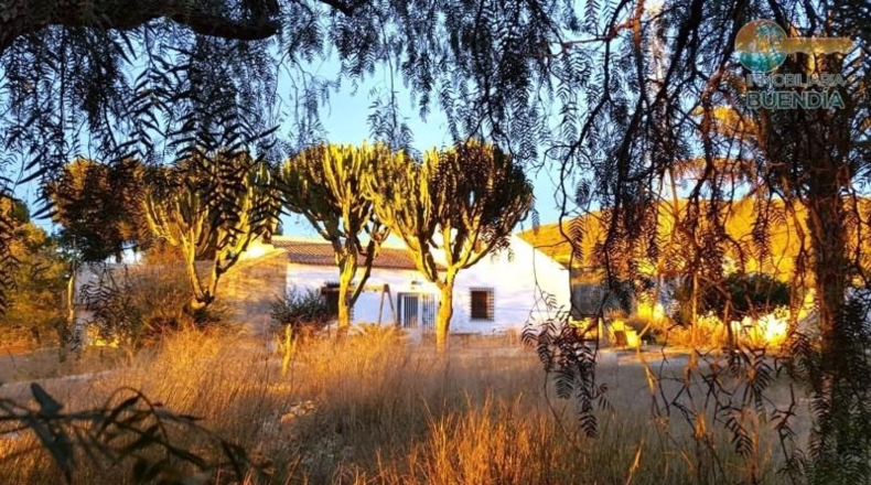 Murcia - Fuente Álamo de Murcia - 9020m2