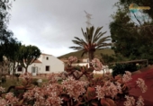 Casa de camp amb terreny en venda a la España, Fuente Álamo, ref.: TR241300 foto
