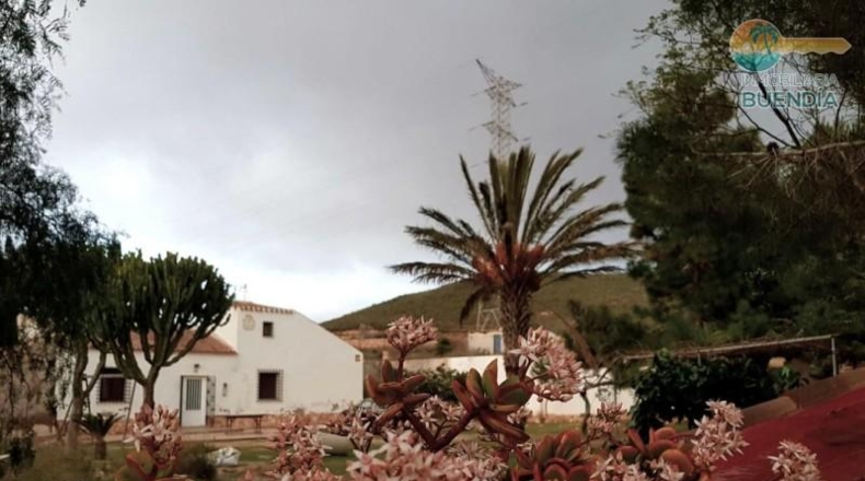 Murcia - Fuente Álamo de Murcia - 9020m2