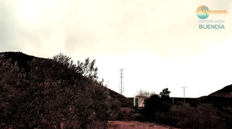 Murcia - Fuente Álamo de Murcia - 9020m2