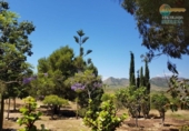 Casa de camp amb terreny en venda a la España, Fuente Álamo, ref.: TR241300 foto