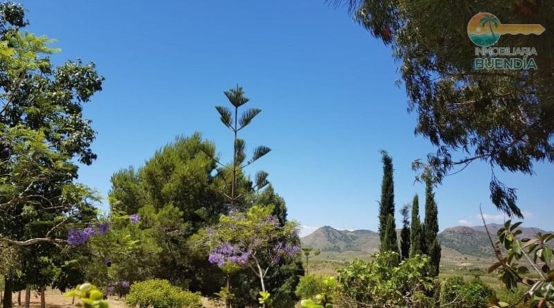 Murcia - Fuente Álamo de Murcia - 9020m2