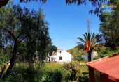 Casa de camp amb terreny en venda a la España, Fuente Álamo, ref.: TR241300 foto