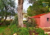 Casa de camp amb terreny en venda a la España, Fuente Álamo, ref.: TR241300 foto