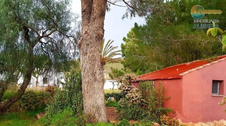 Murcia - Fuente Álamo de Murcia - 9020m2